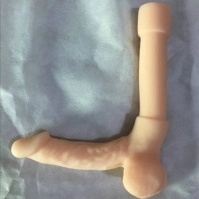 Penis